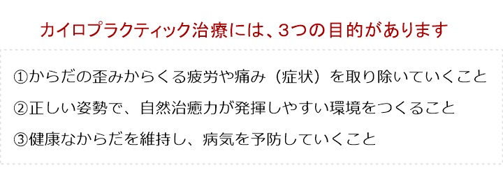 カイロプラクティック治療には、3つの目的があります。①からだの歪みからくる疲労や痛み(症状)を取り除いていくこと ②ただしい姿勢で、自然治癒力が発揮しやすい「からだ」の環境をつくること ③健康なからだを維持し、病気を予防していくこと