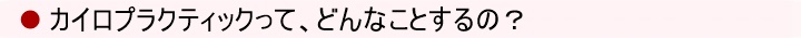 どんなカイロプラクティック治療なの?