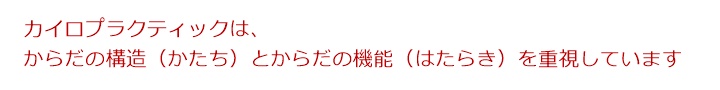 カイロプラクティックって、聞いたことあるけど・・・なんなの