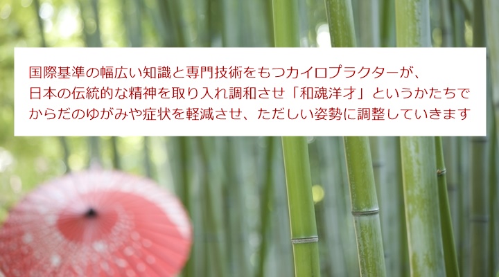 国際基準の幅広い知識と専門技術をもつカイロプラクターが、日本の伝統的な精神を取り入れ調和させ「和魂洋才」というかたちで、からだのゆがみや症状を軽減させ、ただしい姿勢に調整していきます