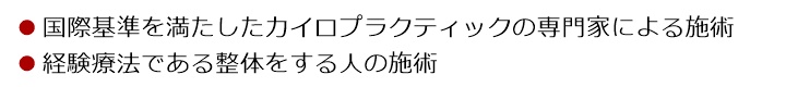 国際基準を満たしたカイロプラクティックの専門家による施術経験療法である整体をする人の施術