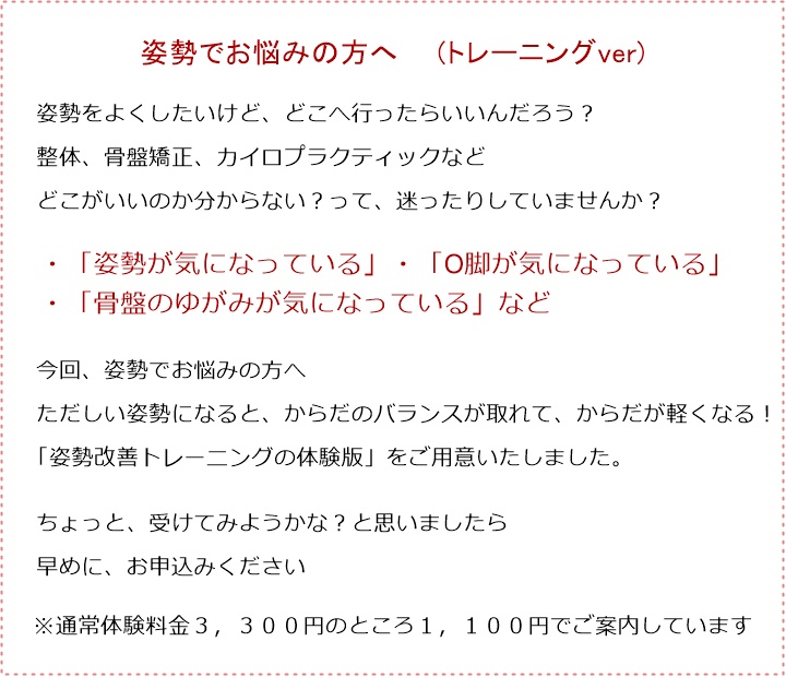 どこがいいのか分からない?って、迷ったりしていませんか?
・「姿勢が気になっている」・「O脚が気になっている」・「骨盤のゆがみが気になっている」など今回、姿勢でお悩みの方へただしい姿勢になると、からだのバランスが取れて、からだが軽くなる!「姿勢改善トレーニングの体験版」をご用意いたしました。ちょっと、受けてみようかな?と思いましたら早めに、お申込みください※通常体験料金3,300円のところ1,100円でご案内しています